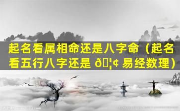 起名看属相命还是八字命（起名看五行八字还是 🦢 易经数理）